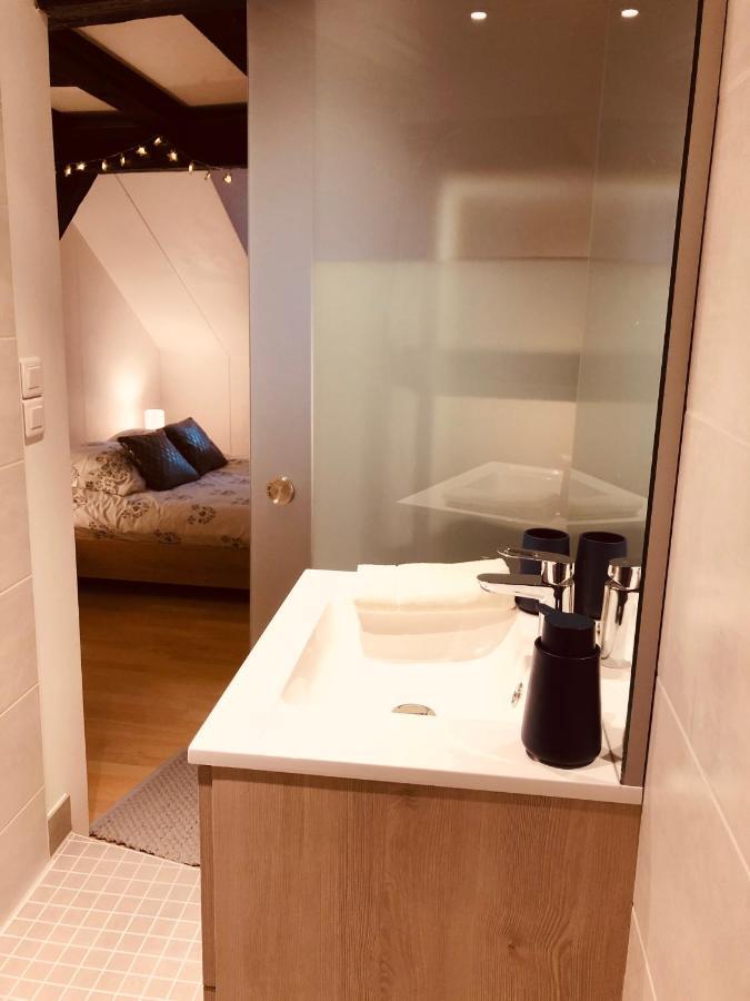 Le Petit Colmarien Hyper-Centre Apartment Екстериор снимка