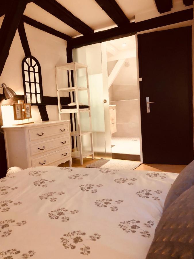 Le Petit Colmarien Hyper-Centre Apartment Екстериор снимка