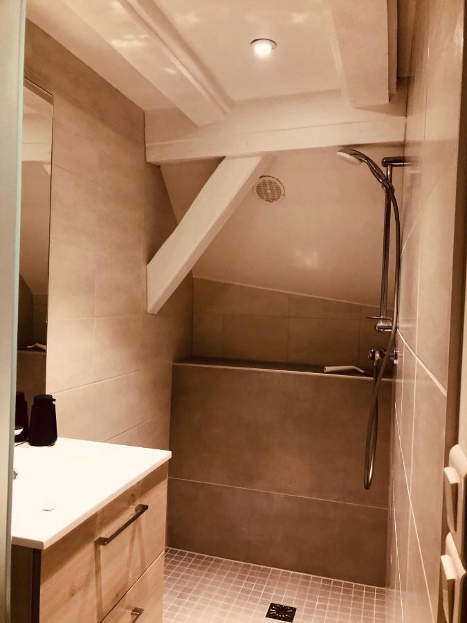 Le Petit Colmarien Hyper-Centre Apartment Екстериор снимка
